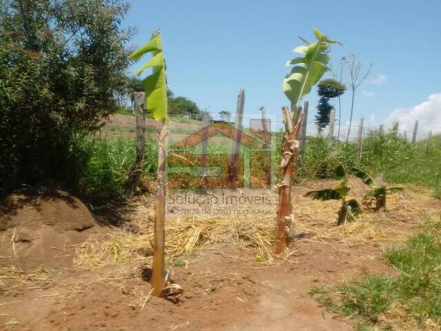 #V.338 - Área para Venda em Caçapava - SP - 3