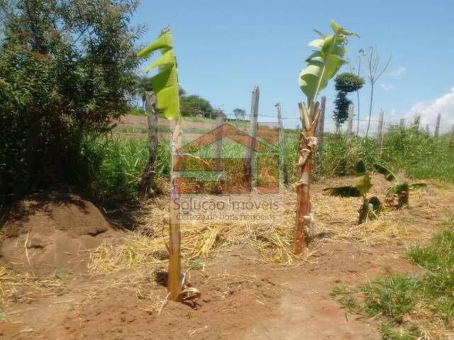 Área para Venda em Caçapava - 4