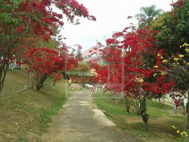#V.376 - Sítio para Venda em Caçapava - SP - 3