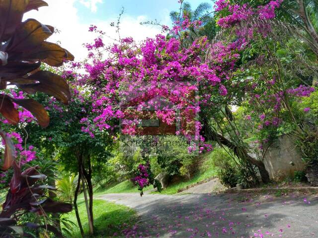 #V.376 - Sítio para Venda em Caçapava - SP - 1