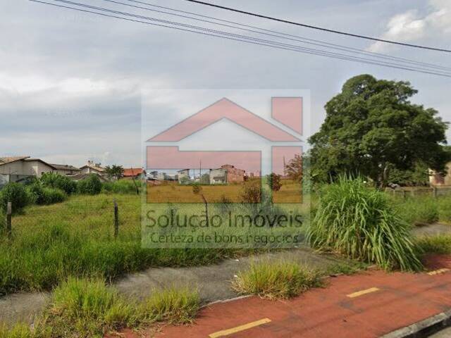 #686 - Área para Venda em Taubaté - SP - 1